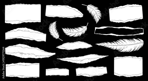 Assortment of White Torn Paper Pieces and Elegant Fluffy Feathers Floating on a Dark Backdrop