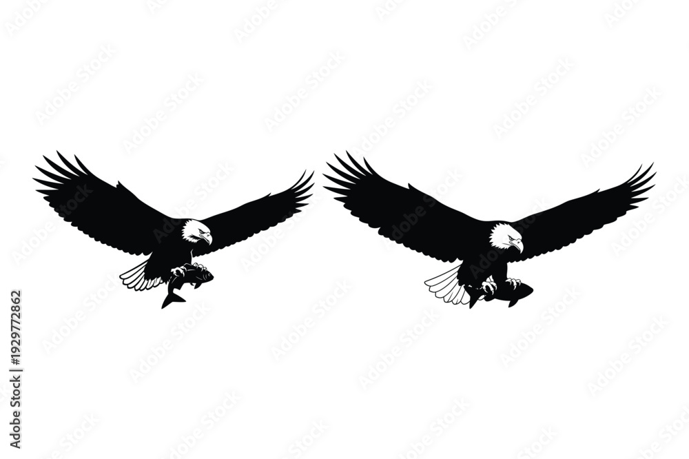 Fototapeta premium Eagle Carrying Fish Silhouettes - Predatory Bird
