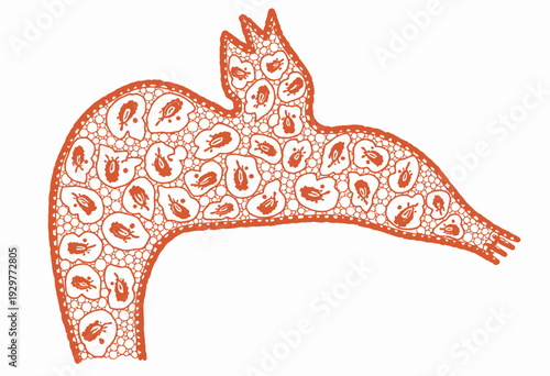 Microscopic View of Vascular Plant Stem Cross-Section Highlighting Cellular Structure and Vein Arrangement for Botanical Study