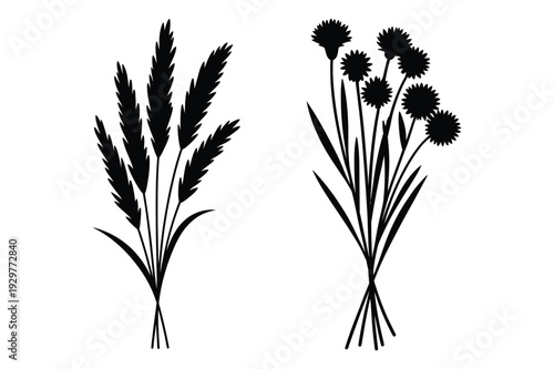 Wheat Stalk and Wildflower Silhouettes - Nature Graphics