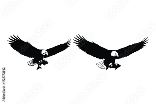 Eagle Carrying Fish Silhouettes - Predatory Bird