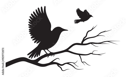 Wallpaper Mural Flying Bird Silhouette Vector Collection, Crow Raven Wildlife Branch Scene Torontodigital.ca