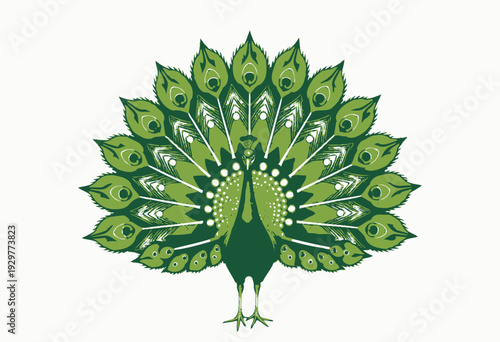 Vibrant Digital Illustration of a Majestic Peacock Showcasing Its Spectacular and Colorful Plumage with Intricate Feather Details Against a Clean White Background