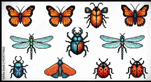 Colorful insects collection butterflies beetles and dragonflies in vector design