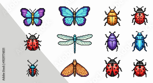 Colorful insect illustrations set against a clean white and gray backdrop