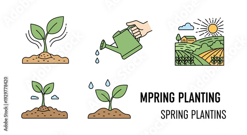 Spring Planting Seedlings Growing Stages Illustration.