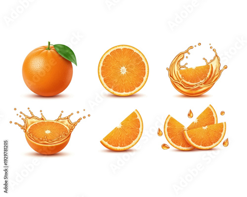 Detailed vector graphic illustration showcasing various realistic orange fruit compositions, including whole segments, splashes, and slices for juice design.
