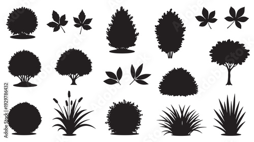 Collection of various plant silhouettes including trees, bushes, and flowers arranged neatly on a plain white background from a straightforward viewpoint.