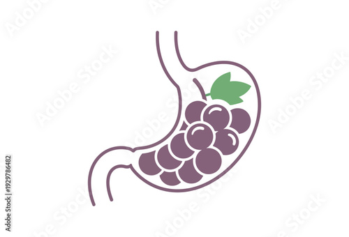 Vector graphic illustration depicting a healthy human stomach filled with fresh purple grapes, symbolizing good digestion and natural nutrition on transparent background