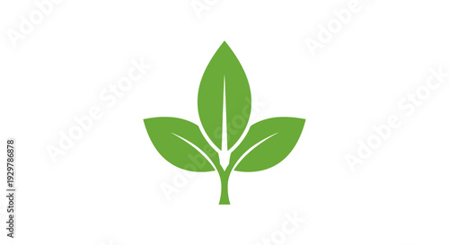 Green Leaf Icon