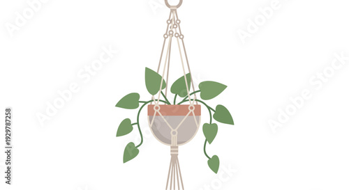 Hanging Plant