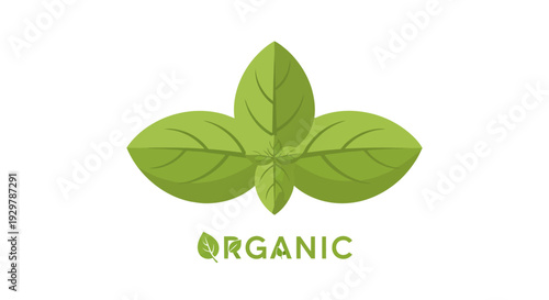 Organic Leaf Logo