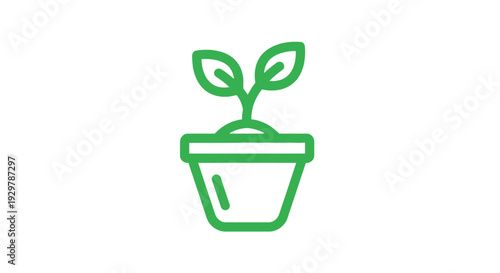 Plant growing in pot