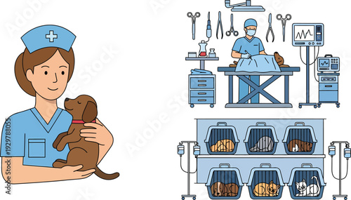 Veterinary clinic scene with nurse and cat medical equipment and supplies