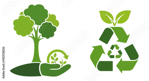 eco friendly tree recycling