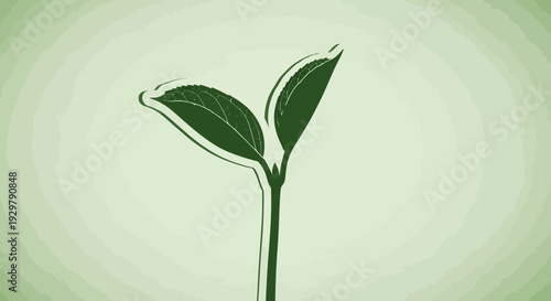 Green sprout growing