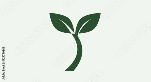 Green sprout growing