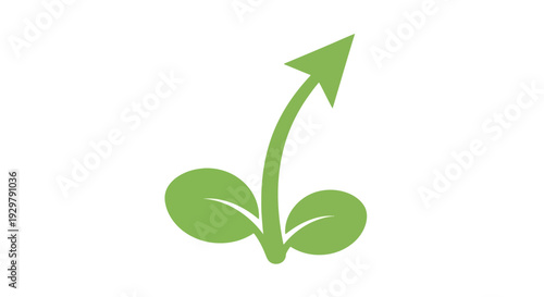 Green sprout growth
