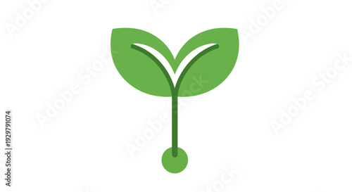 Green sprout growing