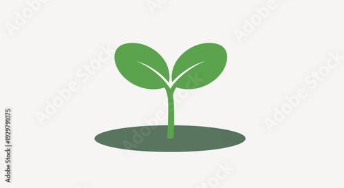 Green sprout growing