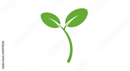 Green sprout