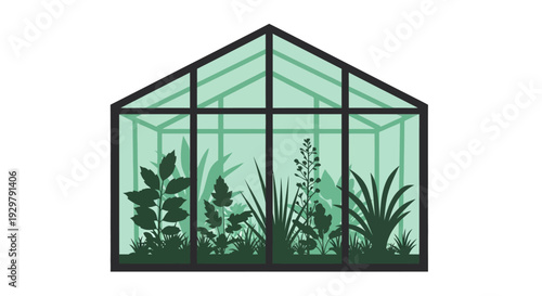 Greenhouse plants
