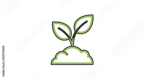 growing plant sprout