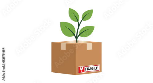 growing plant in box