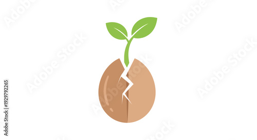 new beginning sprout