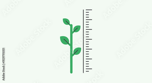 Plant Growth Ruler
