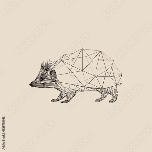 Low poly hedgehog line art illustration
