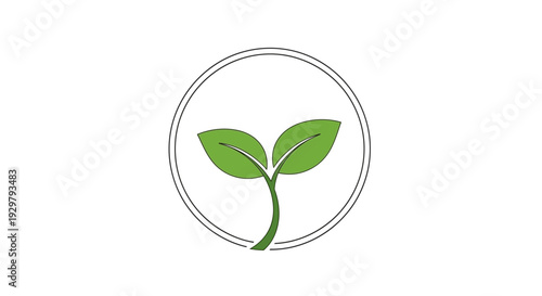 plant sprout logo
