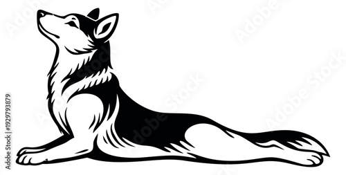 Hand drawn line art illustration of a husky dog depicting it looking up for pet product branding