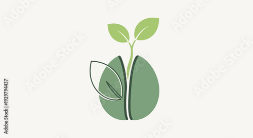 Seedling sprout growing