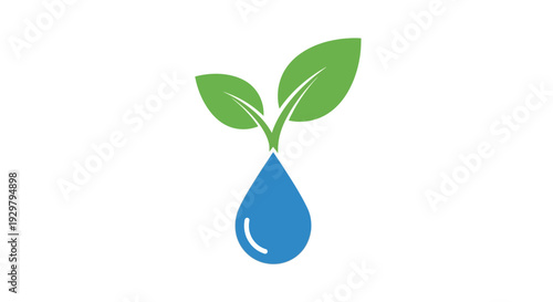 Water drop and plant