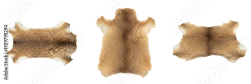 Bild auf Leinwand Tan Leather Pelt Cowhide Skin Isolated on White PNG Transparent Background Natur