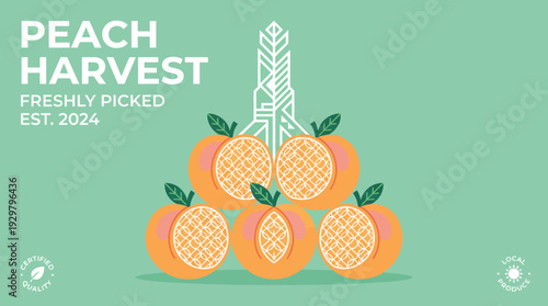 Bright peach harvest illustration featuring freshly picked peaches with a mint green background, ideal for farm, market branding, or seasonal fruit promotions.