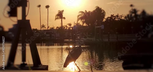 intercoastal sunset in florida