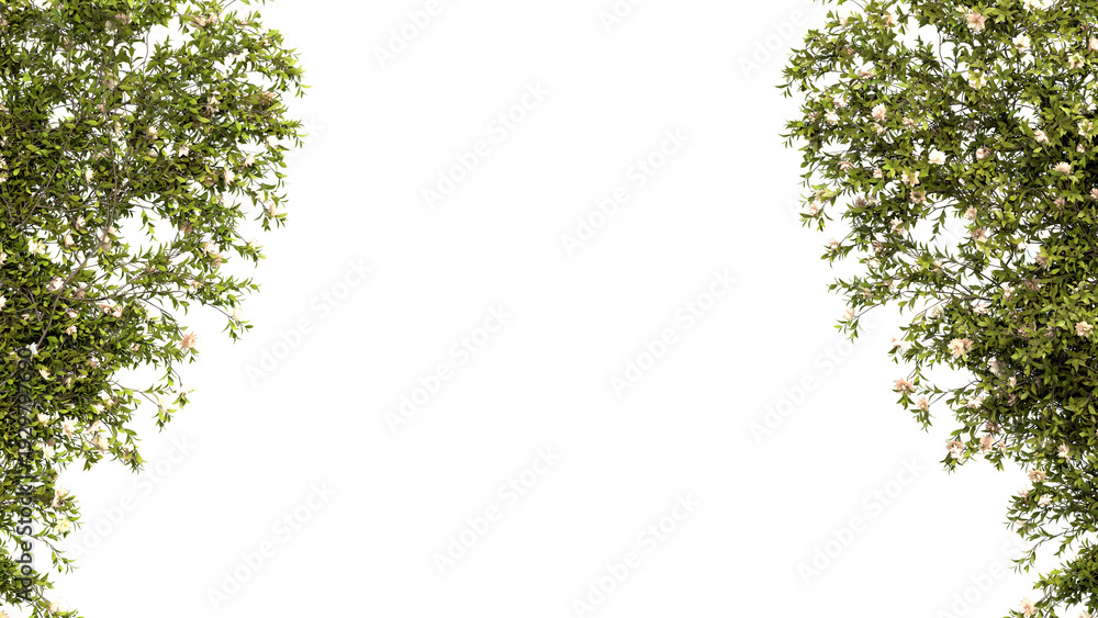 image to crop