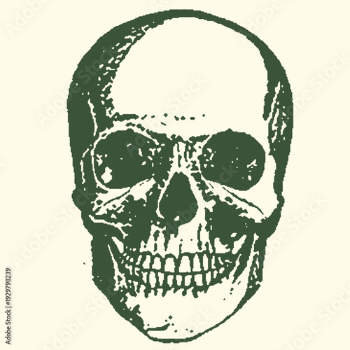 Close-up of a human skull in a distressed, dark green graphic illustration with a bold, textured style, symbolizing mortality and danger.