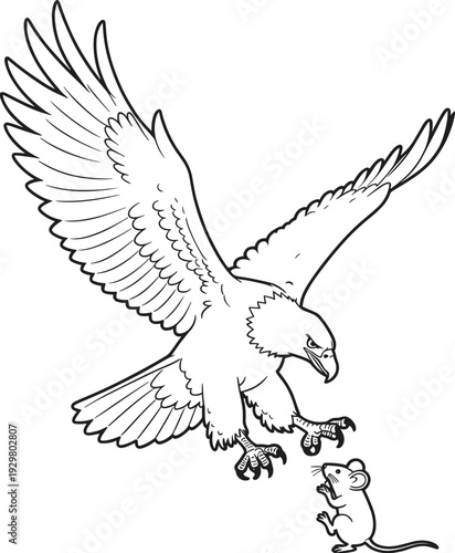 Eagle Attacking a Mouse in Outline Style hawk bird of prey