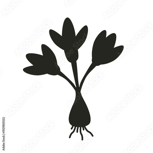 Flower bulb vector silhouette illustration on white background. Spring botanical plant shape in naive art style.