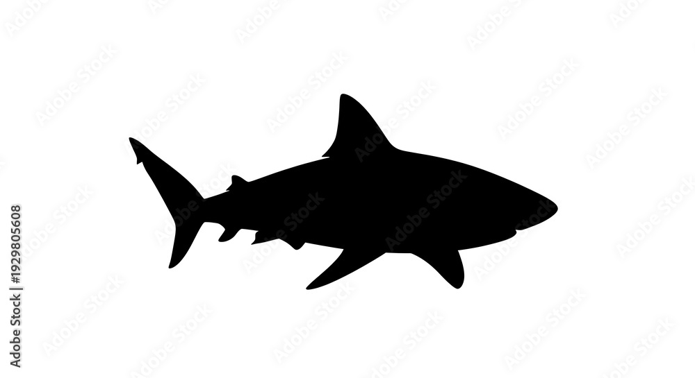 Fototapeta premium Black silhouette of a shark swimming.