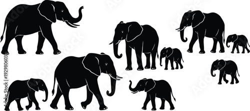 Vector set of black elephant silhouettes, african wildlife animal family with baby calves collection isolated on white for safari nature zoo design