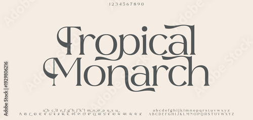 Tropical Elegant Font, aesthetic, Uppercase Lowercase and Number. wedding font, Classic Lettering Minimal Fashion Designs. Typography modern regular decorative vintage concept. vector illustration
