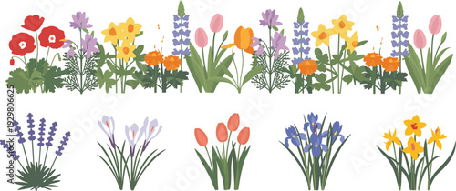 Border of Spring Flowers and Individual Bunches floral