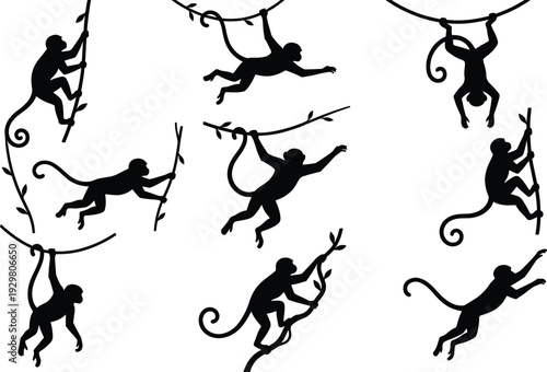 Vector set of black monkey silhouettes, primate animal collection swinging on jungle vines isolated on white for wild nature tropical forest design elements