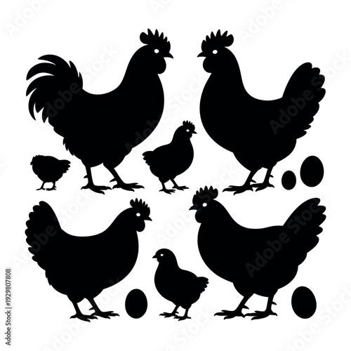 A group of black silhouettes of chickens and eggs on a white background