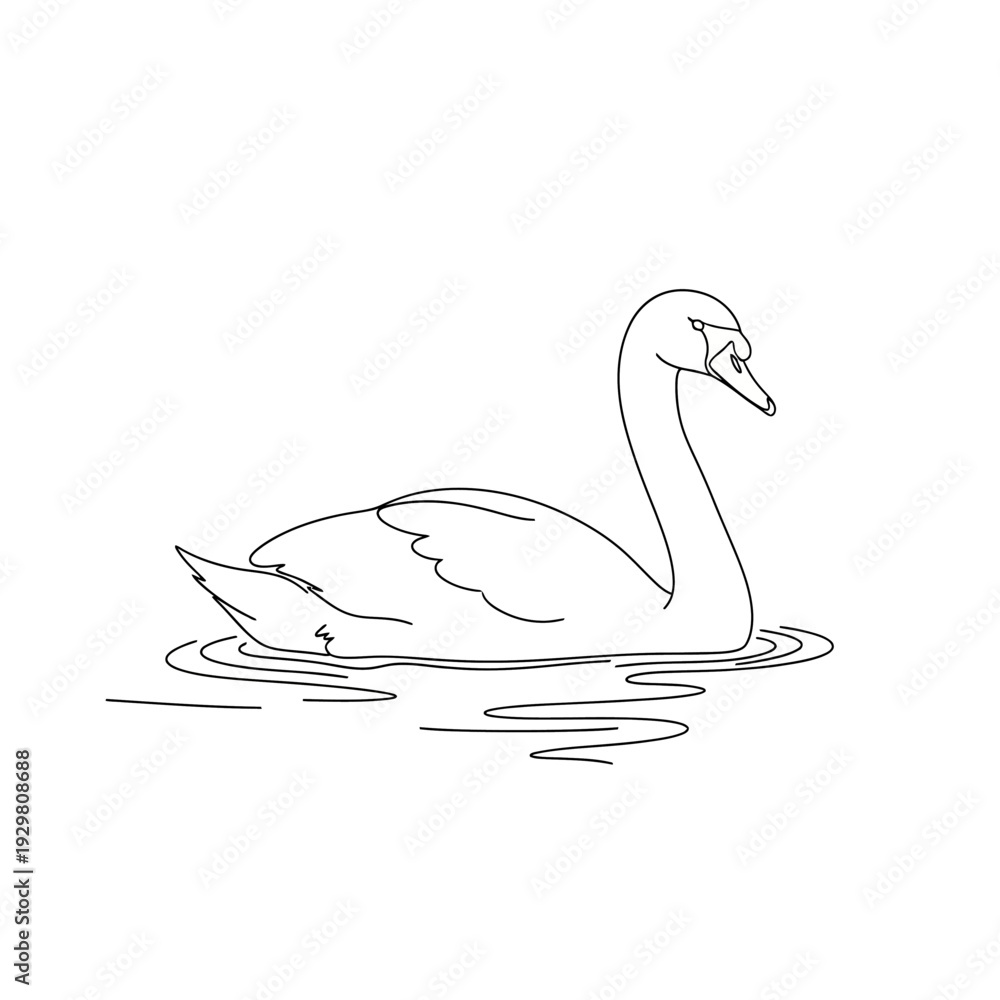 Fototapeta premium Elegant swan gracefully gliding on calm water, minimalist line art.