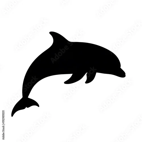 Fototapeta Black dolphin silhouette swimming ocean.